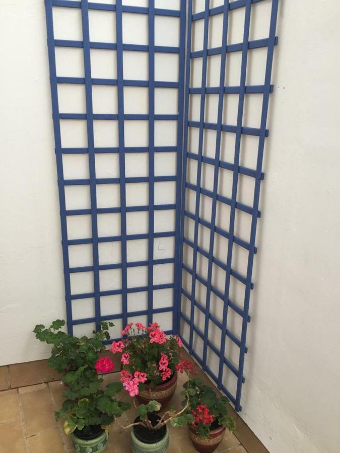 Apartamento Balneario Playa Caleta 加的斯 外观 照片