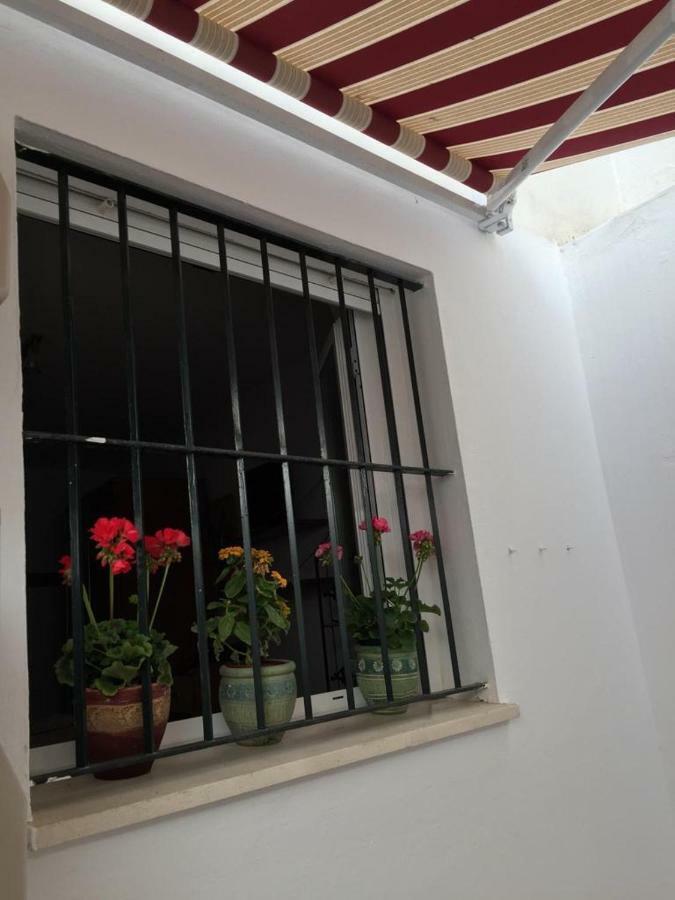 Apartamento Balneario Playa Caleta 加的斯 外观 照片