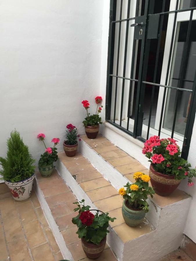 Apartamento Balneario Playa Caleta 加的斯 外观 照片